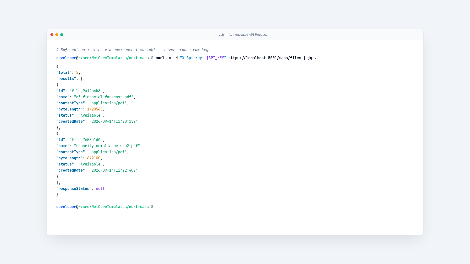 Programmatic API Request with Bearer API Key